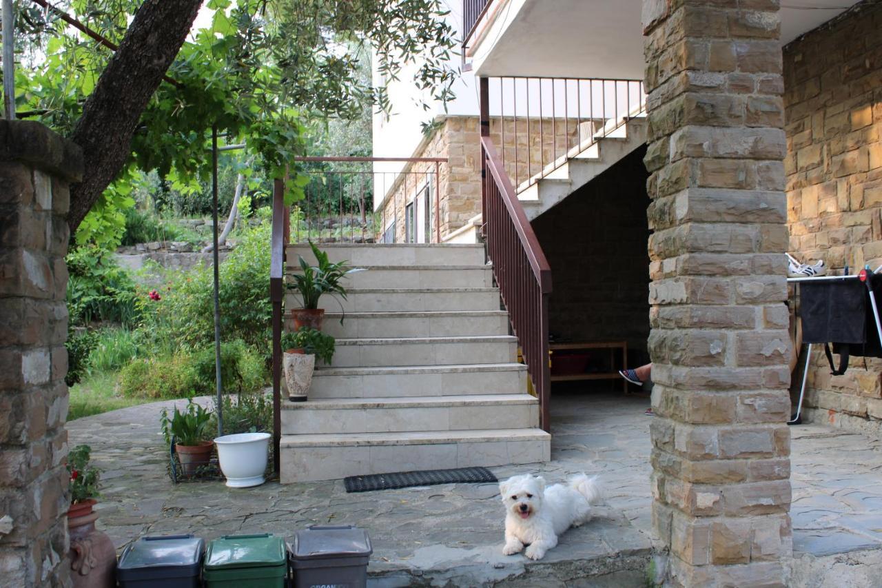 Vila Bella Vista Bolognese Trespiano Exteriér fotografie